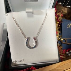 Elegant Silver Horseshoe Necklace by Kelly Herd